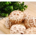 Tea Flower Mushroom Good Export Price